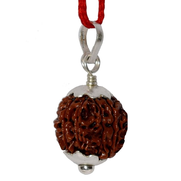 Divya Shakti Sept Visages / 7 mukhi Nepali Rudraksha Pendentif Argent pour Hommes et Femmes (20 Mm)