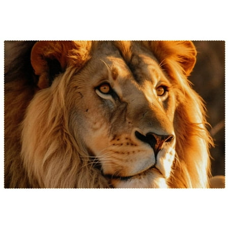 

Placemats Set of 1 Table Placemats for Home Holiday Party African Brown Lion