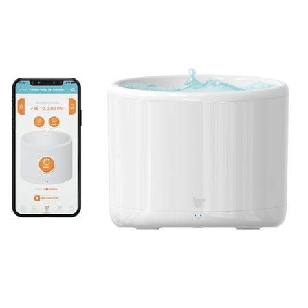 Instachew Purrflow Smart Cat & Dog Water Fountain: Automatic Dog and Cat Water Dispenser