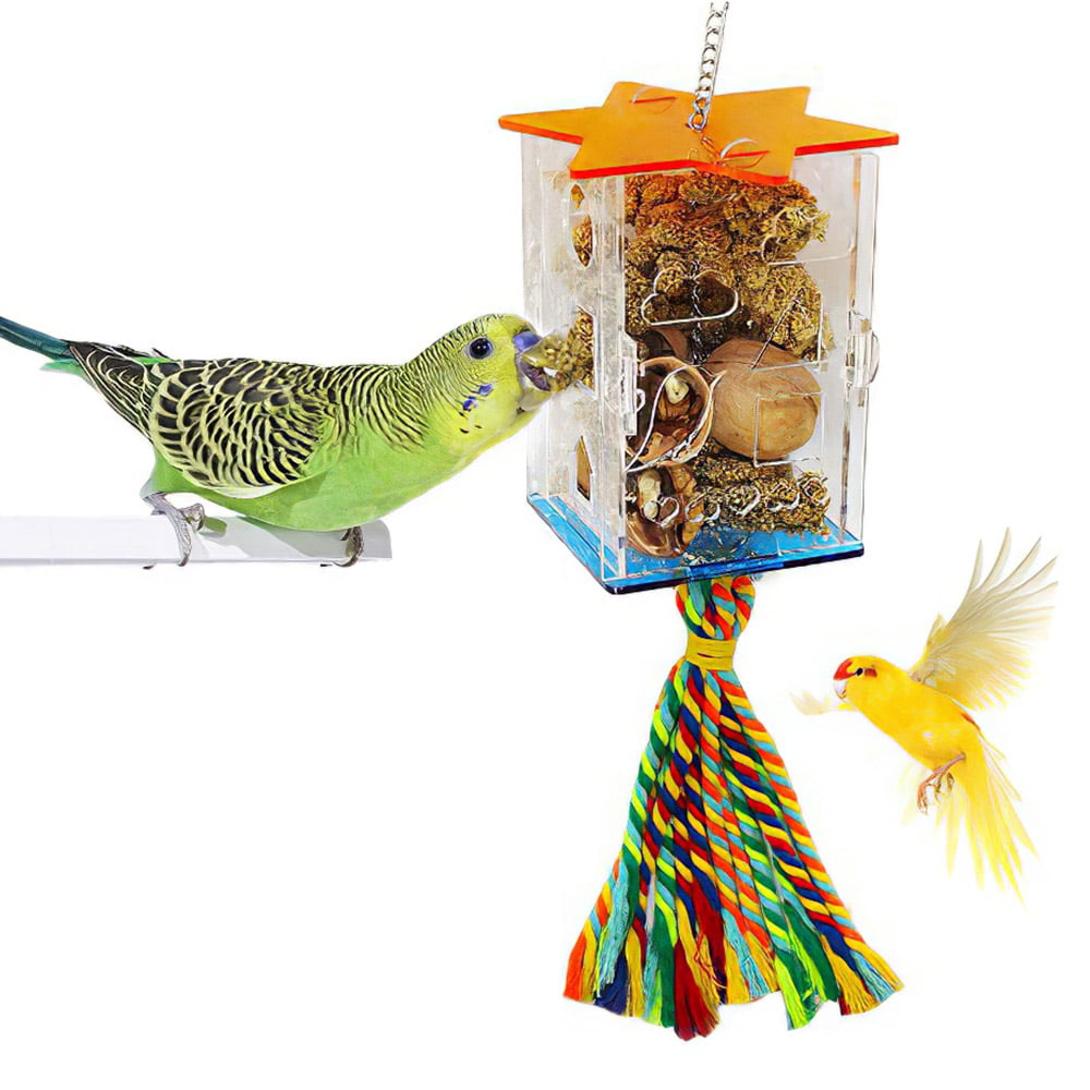 Parrot Bird Feeder Acrylic Box Cage Mounted For Cockatiel Finch Parakeet 