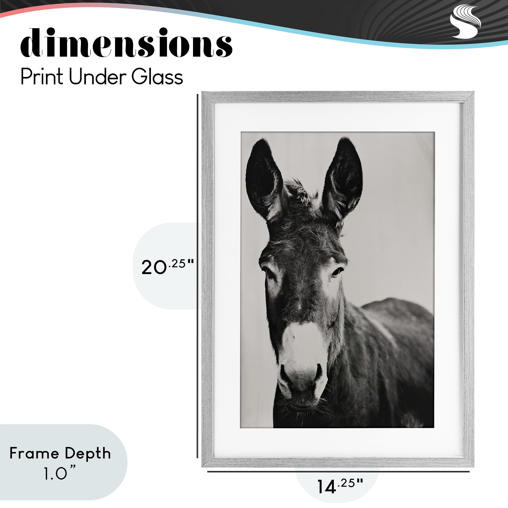Stupell Industries Franz the Donkey Portrait Gray Framed Print Under Glass, design by Amy Carroll