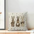 thumbnail image 3 of Easter Pillow Covers 18x18 Inch Set of 2, Polka Dot Bunny Throw Pillows Farmhouse Linen Rabbit Spring Decor Pillowcase for Sofa Bedroom Living Room Indoor Outdoor, 3 of 6