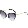 thumbnail image 4 of Lunettes de Soleil Il de Chat Classiques Unisexes Y1268, 4 of 5