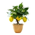 thumbnail image 1 of Home Decoration Simulation Lemon Foam Fruit Pot Branch Artificial Flower Arrangement Shooting Decoration, 1 of 8