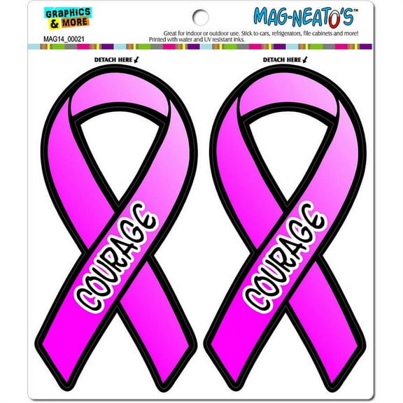 Courage Breast Cancer Awareness Pink Support Ribbon Automotive Car Refrigerator Locker Vinyl Magnet Set
