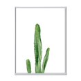 thumbnail image 1 of Designart Green Cactus South Western Plant Botanical Detail FLOAT FRAME WALL ART, 1 of 4