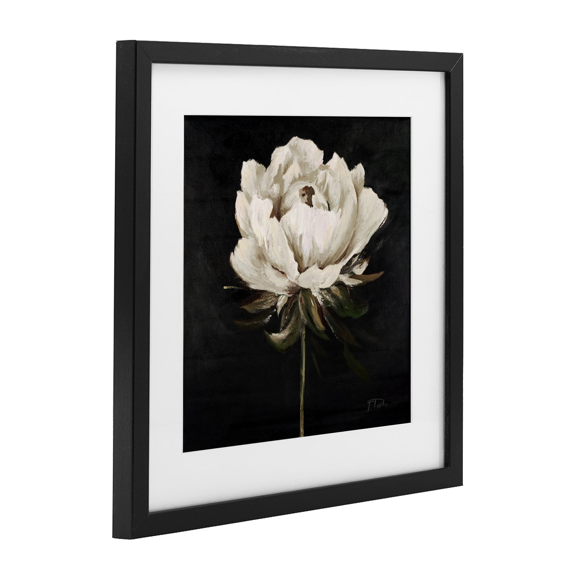 Stupell Industries Pretty Delicate Bloom on Black Black Framed Print Under Glass, design by Patricia Pinto