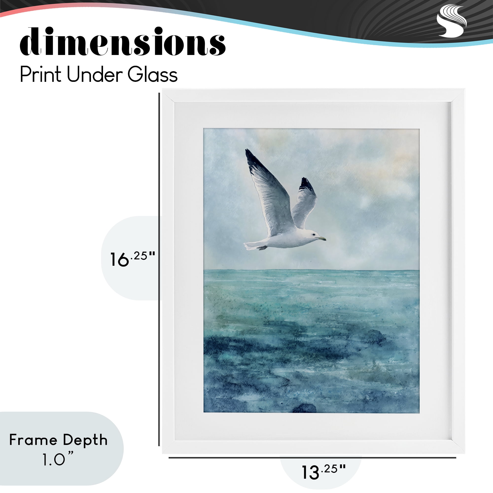 Stupell Industries Seagull With Black Tips White Framed Print Under Glass, design by Franklyn Gregory
