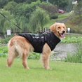 thumbnail image 3 of Waterproof Winter Clothes for Large Dogs Clothes Big Dog Jacket 2XL, 3 of 5