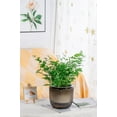 thumbnail image 3 of 6.5inch 1 Pack Self Watering Hanging Planter, Indoor Outdoor Hanging Drainage Holes Planters Flower Pot Basket, Visible Water Level, Plant Hanger Home Garden Decor, 3 of 8
