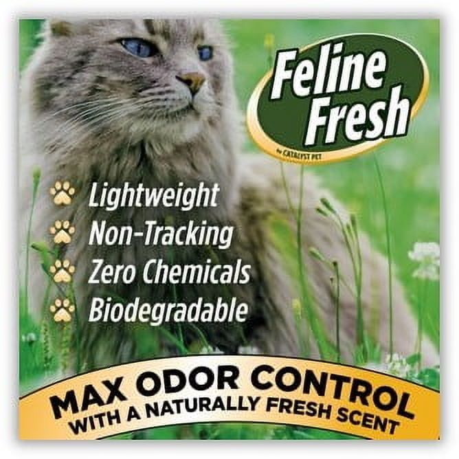 Naturally fresh cat litter walmart best sale