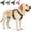 Green, variant on No Pull Dog Harness with Handle Walking Training Vest | 2026 New Front Clip Dog Harness, Reflective Pet Vest Tactical Harness for Large Medium Small Dogs Walking Training