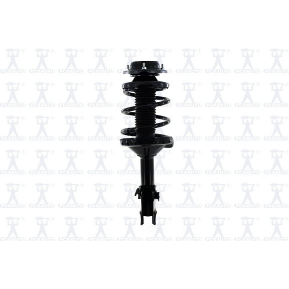 Suspension Strut and Coil Spring Assembly