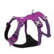 thumbnail image 1 of TRUELOVE Pet Nylon Harness Light-weight Double-H Shape Embroidery 5 Adjustable Positions Medium and Large Dog Waterproof  YH1807 ShopWise Round, 1 of 9