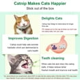 thumbnail image 5 of Catnip Balls Juguete de hierba gatera para gatos, comestible natural saludable (3 piezas), 5 of 5