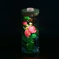 thumbnail image 1 of OULII 1Pcs Terrarium Jar with Light Transparent Glass Simple Design Balcony Garden Decoration, 1 of 4