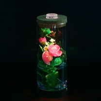 PTOOTP Landscape Glass Bottle with LED Light, Transparent Modern Decorative Vase for Home and Office Decor