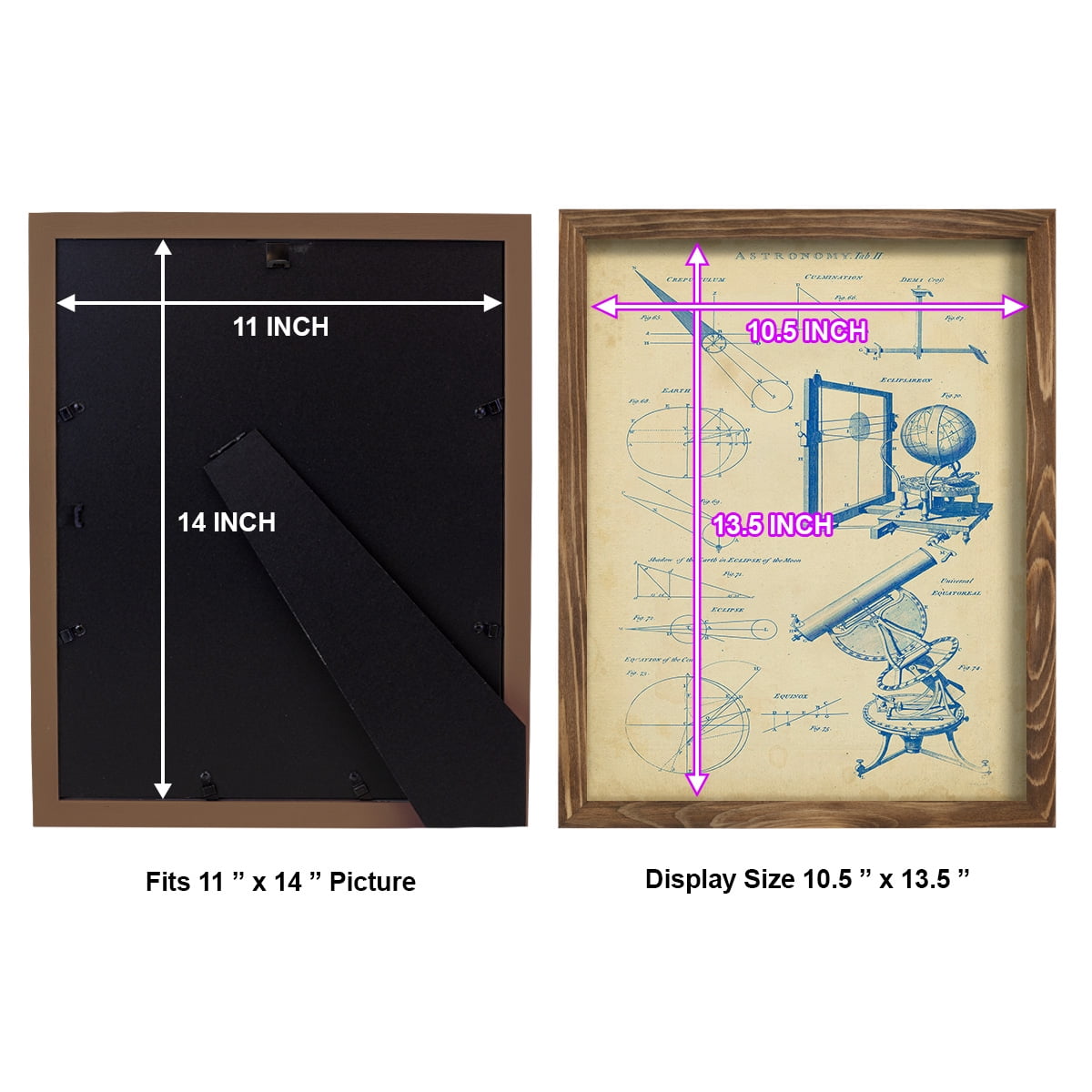 Vintage Astronomy II -Framed Print w/glass-Walnut