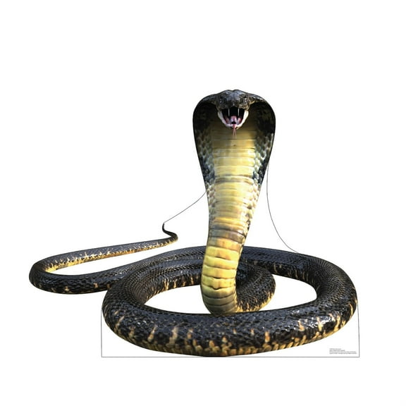 Advanced Graphics 5228 37 x 45 in. King Cobra Life-Size Cardboard Cutout