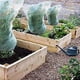 thumbnail image 5 of 5 Packs Of Garden Plant Protection Nets with Rope, for Vegetable, 5 of 5