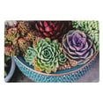 thumbnail image 1 of Plastic Placemat (Potted Succulents) - Set of 12, 1 of 1