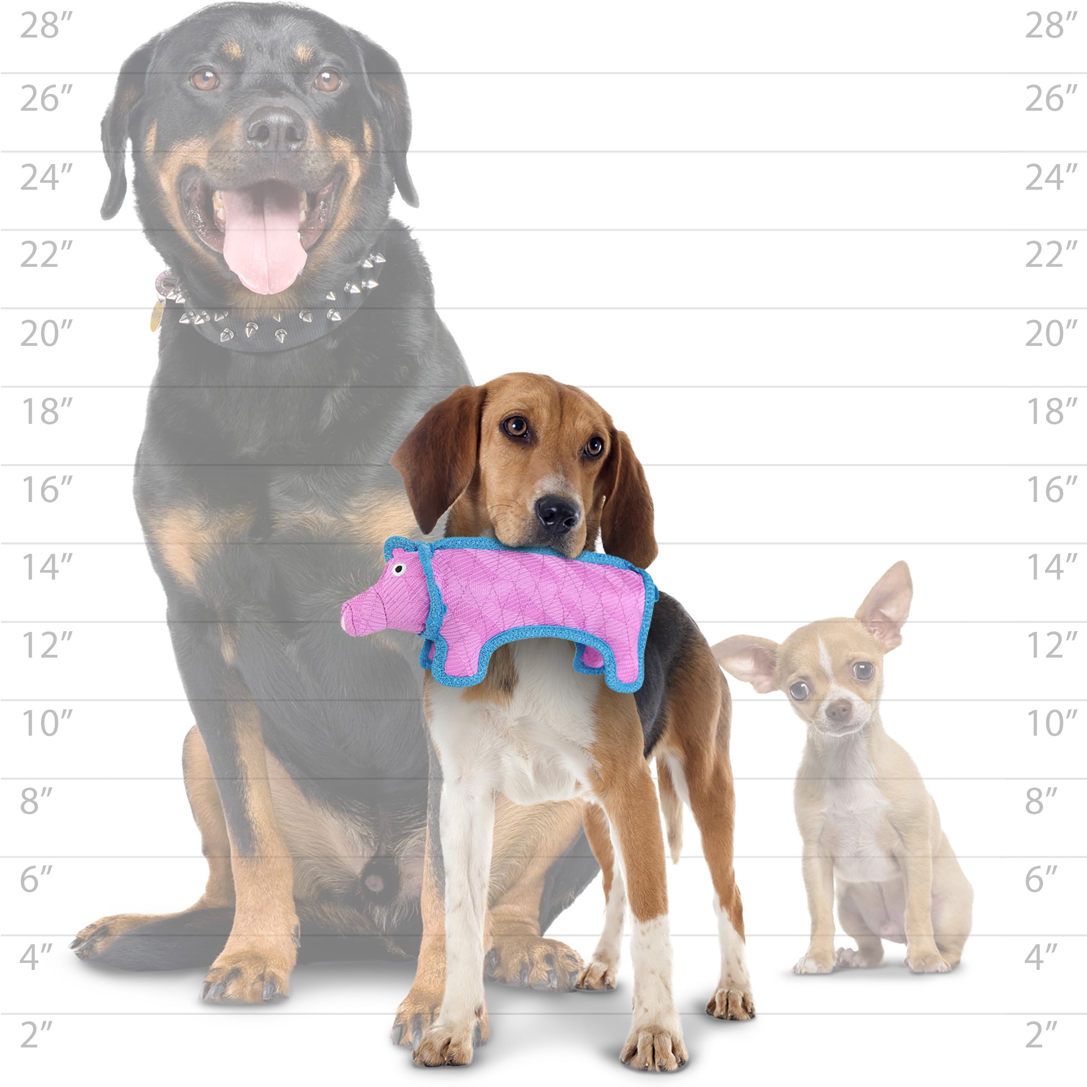 DuraForce Pig Tiger Pink Blue Durable Woven Mesh Fiber Dog Toy with Squeaker