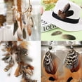 thumbnail image 7 of 300PCS Assorted Feathers 10 Styles Crafts Feathers for DIY Dream Catcher Wings Earring Hat Mask Wedding Party Carnival Halloween Costume Decorations, 7 of 7