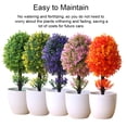 View all media