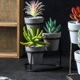 thumbnail image 2 of 3 piezas pequeñas s de plantas s w. Soporte , s , decoraciones de baño de dormitorio únicas , Negro B Macarena Jardineras de cerámica en miniatura, 2 of 7