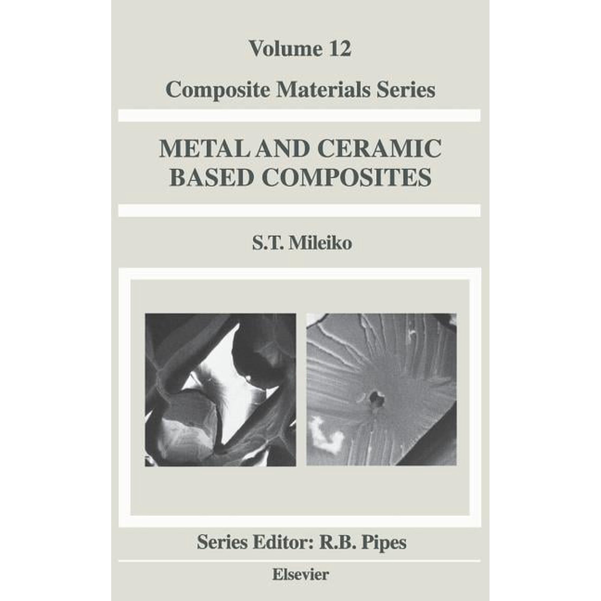 Composite Materials Metal and Ceramic Based Composites: Volume 12 Book 12 (Hardcover)