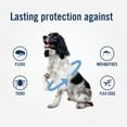 thumbnail image 7 of PETARMOR Plus Flea & Tick Collar for Dogs, One-Size-Fits-All Collar, 2 Count, 7 of 7