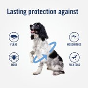 PETARMOR Plus Flea & Tick Collar for Dogs, One-Size-Fits-All Collar, 1 Count