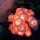 thumbnail image 5 of Cadena de luz LED Flor de rosa Lámpara decorativa con pilas Iluminación colgante para banquete de boda, Rosa Advancent HA003522-02, 5 of 6