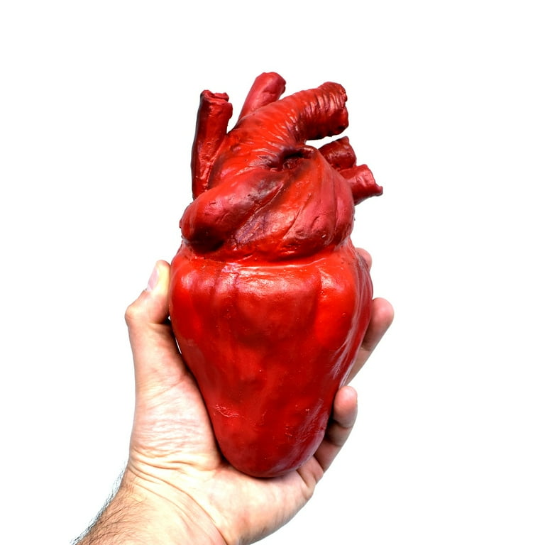 Realistic Human Heart Scary Haunt House Prop Halloween Horror Costume Accessory Realistic Human Heart Scary Haunt House Prop Halloween Horror Costume Accessory