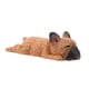 thumbnail image 5 of Perro en Miniatura de Resina Decoraciones Artesanales Casa Juguete Decoraciones de Escritorio Marron oscuro Cola Sleeping Corgi Dog, 5 of 8