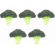 thumbnail image 1 of 5 Pcs Simulated Food Broccoli Slice Fake Artificial Vegetable Broccoli Decoration Model Educational Props, 1 of 3