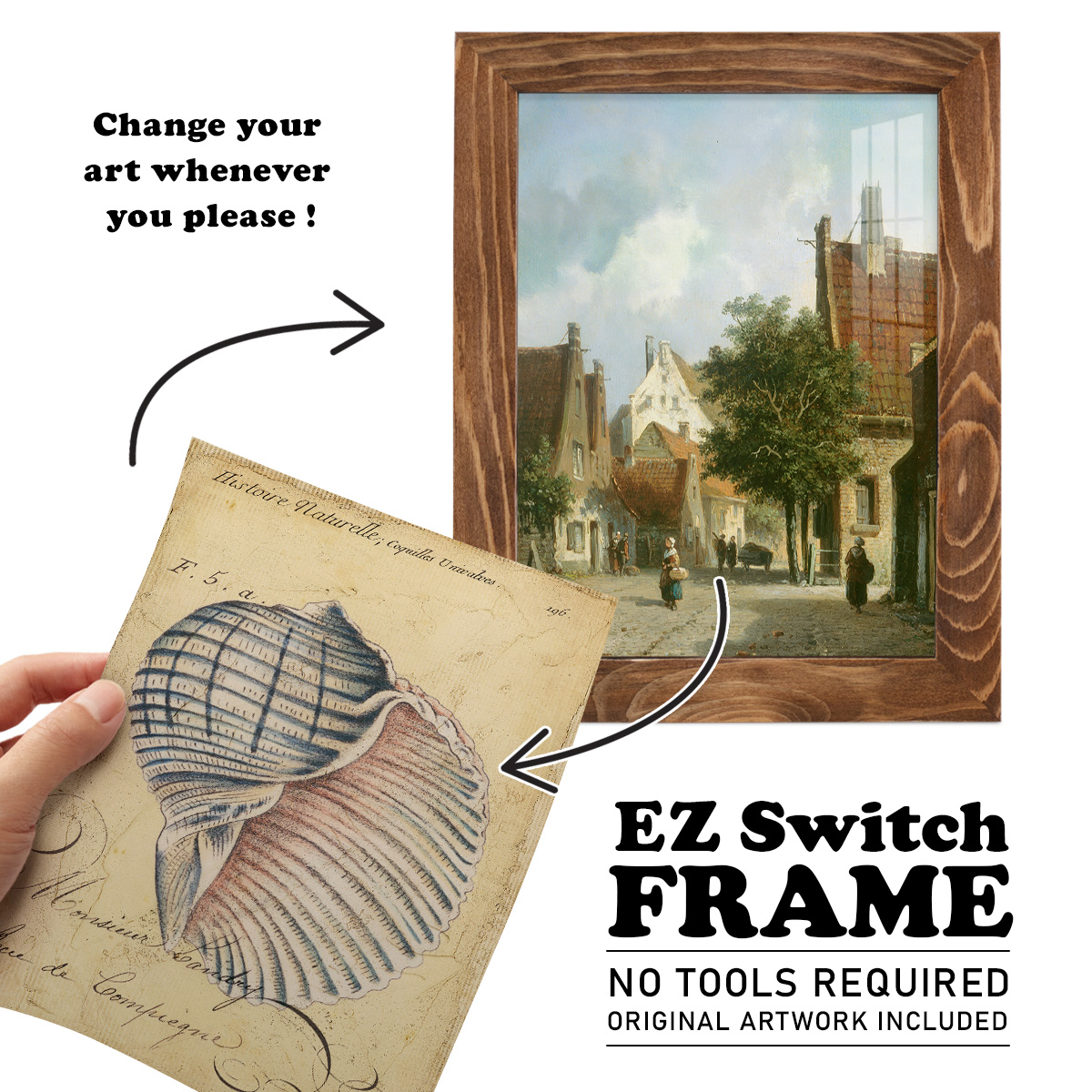 Seashell Ephemera V - Framed Print w/glass - Walnut