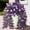 Violet, variante sur Sentmoon Décoration Murale Feuilles Vignes de Fleurs Printemps Décoration Maison Gloires Artificielles Suspension Murale Plantes Vertes Vignes Suspendues Décoration Maison