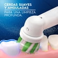 thumbnail image 2 of Cabezal Redondo de Repuesto para Cepillo Eléctrico Oral-B Advanced Clean 2 pzas, 2 of 5