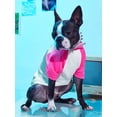 thumbnail image 3 of PETSIN Car Print Pet Tee, 3 of 5