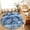 Blue, variant on Area Rugs 4'x6'. Turquoise Coastal Carpet Runner Indoor Outdoor Rugs Home Decor Aesthetic, Nautical Coral Starfish Shell Turtle Summer Non Slip Mats Washable Accent Rug for Living Room Bedroom