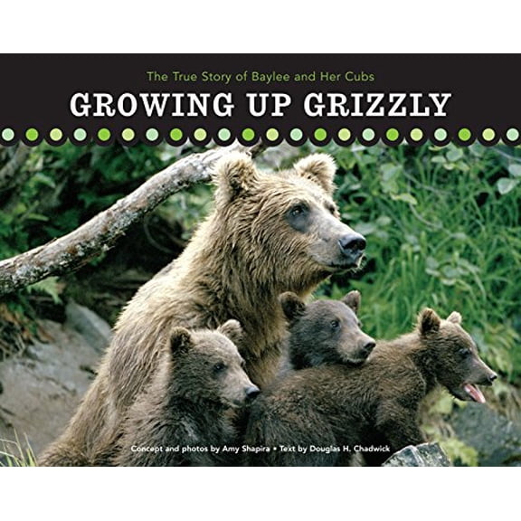 Pre-Owned Growing Up Grizzly: The True Story of Baylee and Her Cubs (Hardcover) by Douglas H Chadwick, Amy Shapira