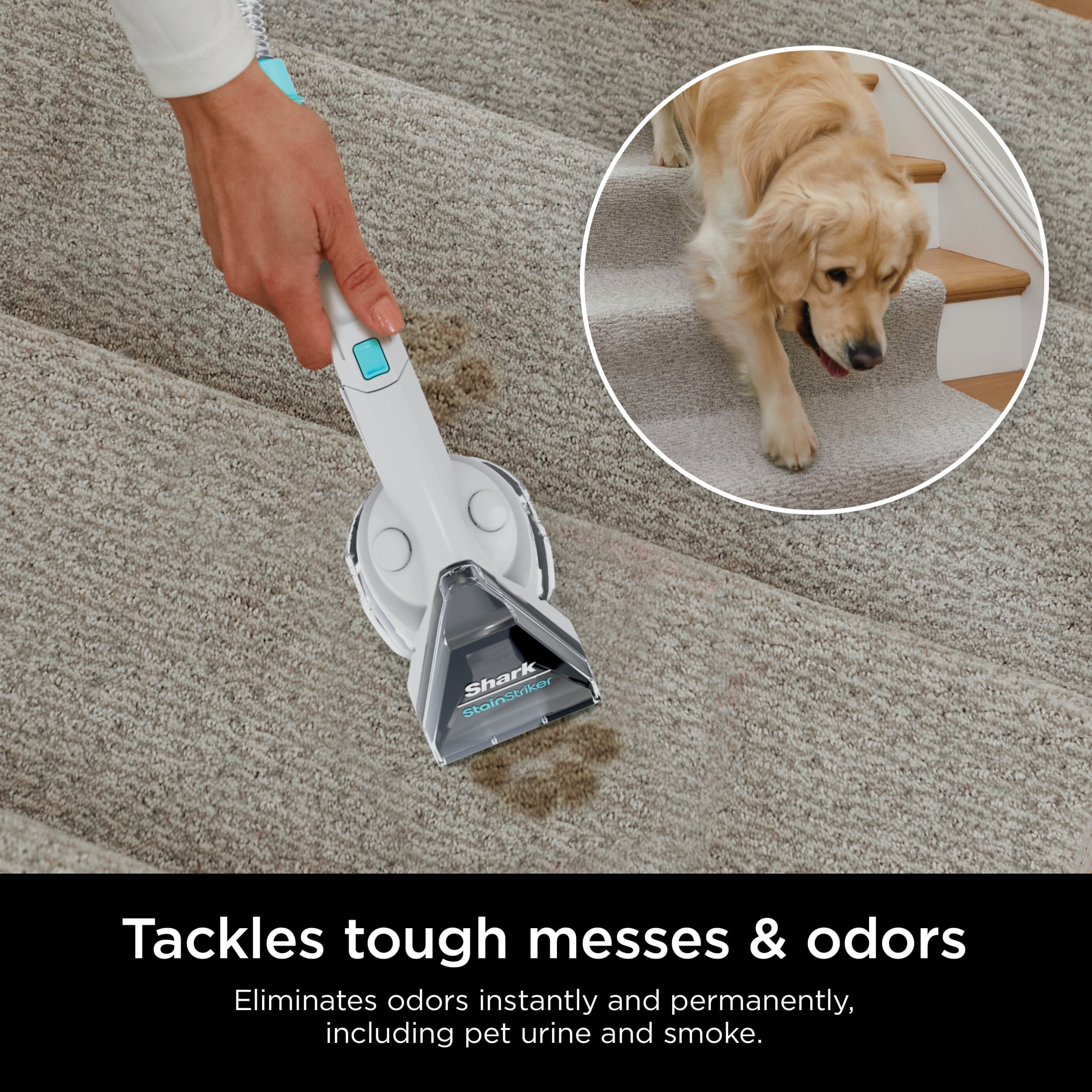 Shark CarpetXpert Deep Clean Pro Formula 48-Oz, for Shark Upright & Portable Carpet Cleaners, Formulated for All Carpets, Upholstery & Area Rugs, Eliminates Tough Pet Messes and Odors, EXCM48
