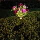 thumbnail image 5 of Cateissary Luces de flores con energía solar, luces decorativas para césped al aire libre, luz solar para césped de rosas, jardín y patio Iluminación y accesorios naranja amarillo, 5 of 6