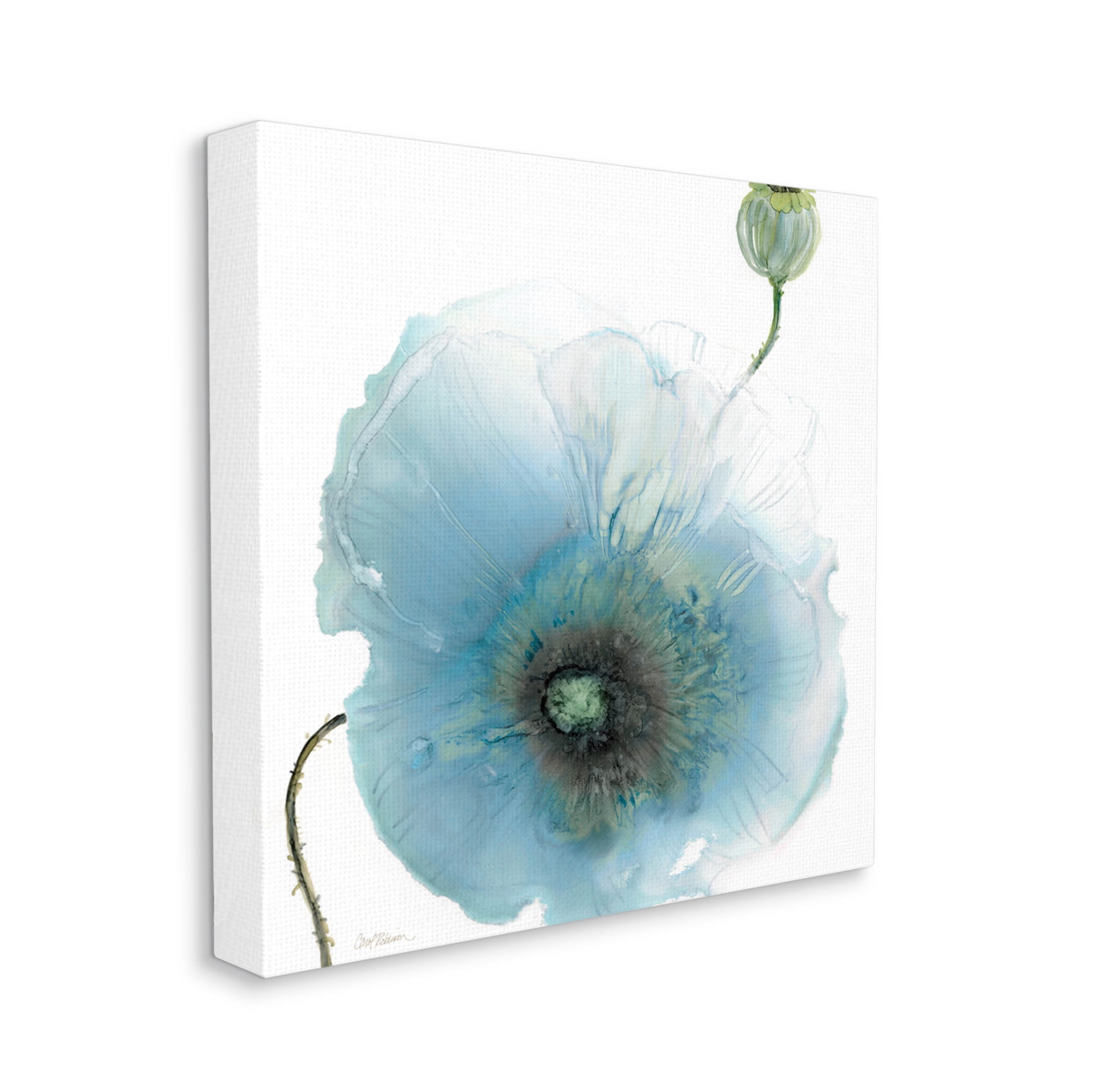 Stupell Industries Contemporary Flower Petal Shape Graphic Art Gallery Wrapped Canvas Print Wall Art, Design by Carol Robinson