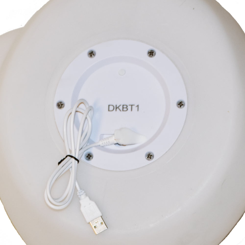 floating pool duck speaker