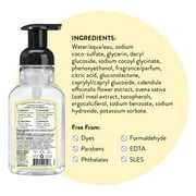 J.R. Watkins Foaming Hand Soap, Lemon, Citrus Scent, 9OZ