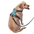 thumbnail image 2 of Fotbe Cat Fish Pattern Dog Harness, No-Pull Pet Harness with 2 Leash Clips, Adjustable Soft Padded Dog Vest with Easy Control Handle for Large Dogs-Large, 2 of 6