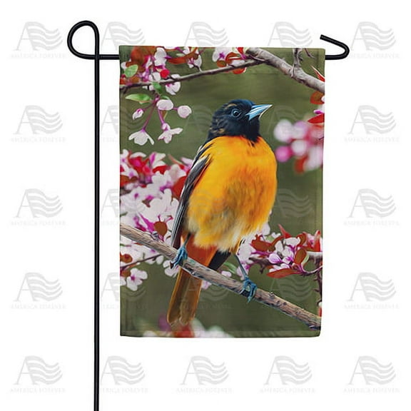 America Forever Spring Bird Garden Flag 12.5 x 18 inches Double Sided Summer Baltimore, Oriole, Flowers - Seasonal Yard Lawn Outdoor Decorative Spring Floral Garden Flag