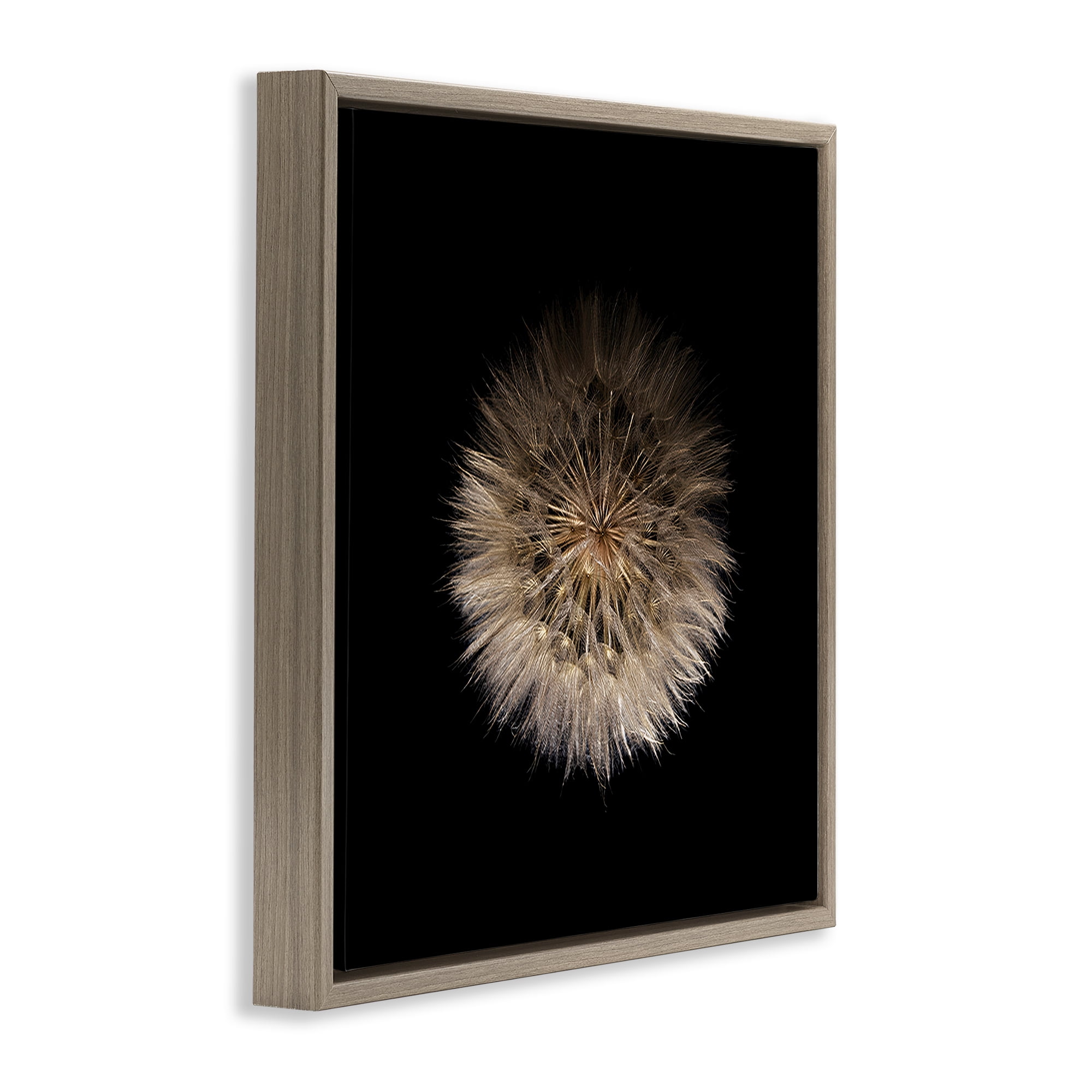 Stupell Industries Wispy Dandelion on Black Brown Framed Floater Canvas Wall Art, design by Beth Adoette